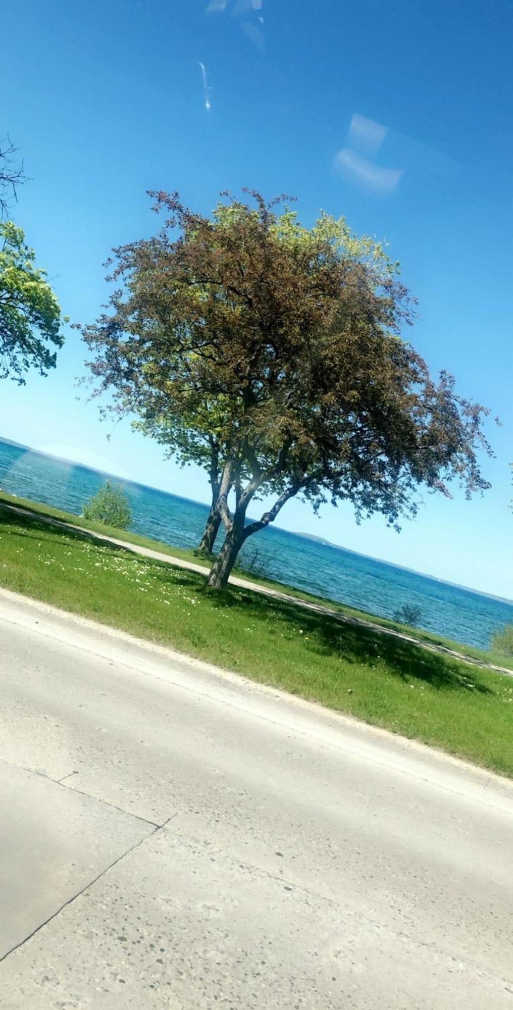 Downtown Traverse City Condo - Capri 209 Esterno foto